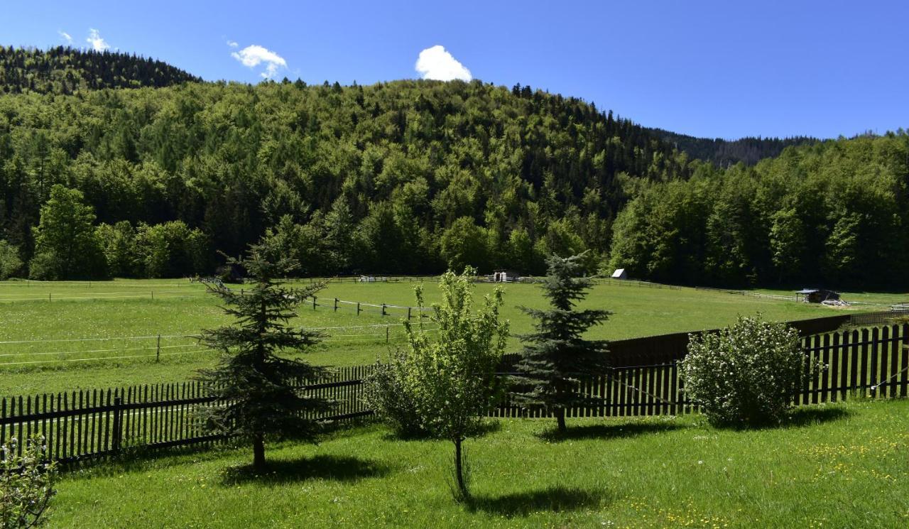 Apartament Rojka Zakopane Extérieur photo