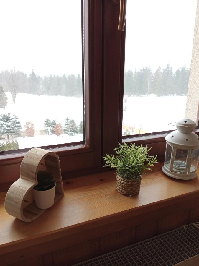 Apartament Rojka Zakopane Extérieur photo