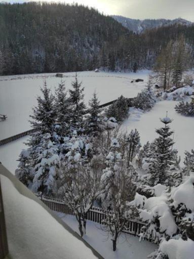 Apartament Rojka Zakopane Extérieur photo